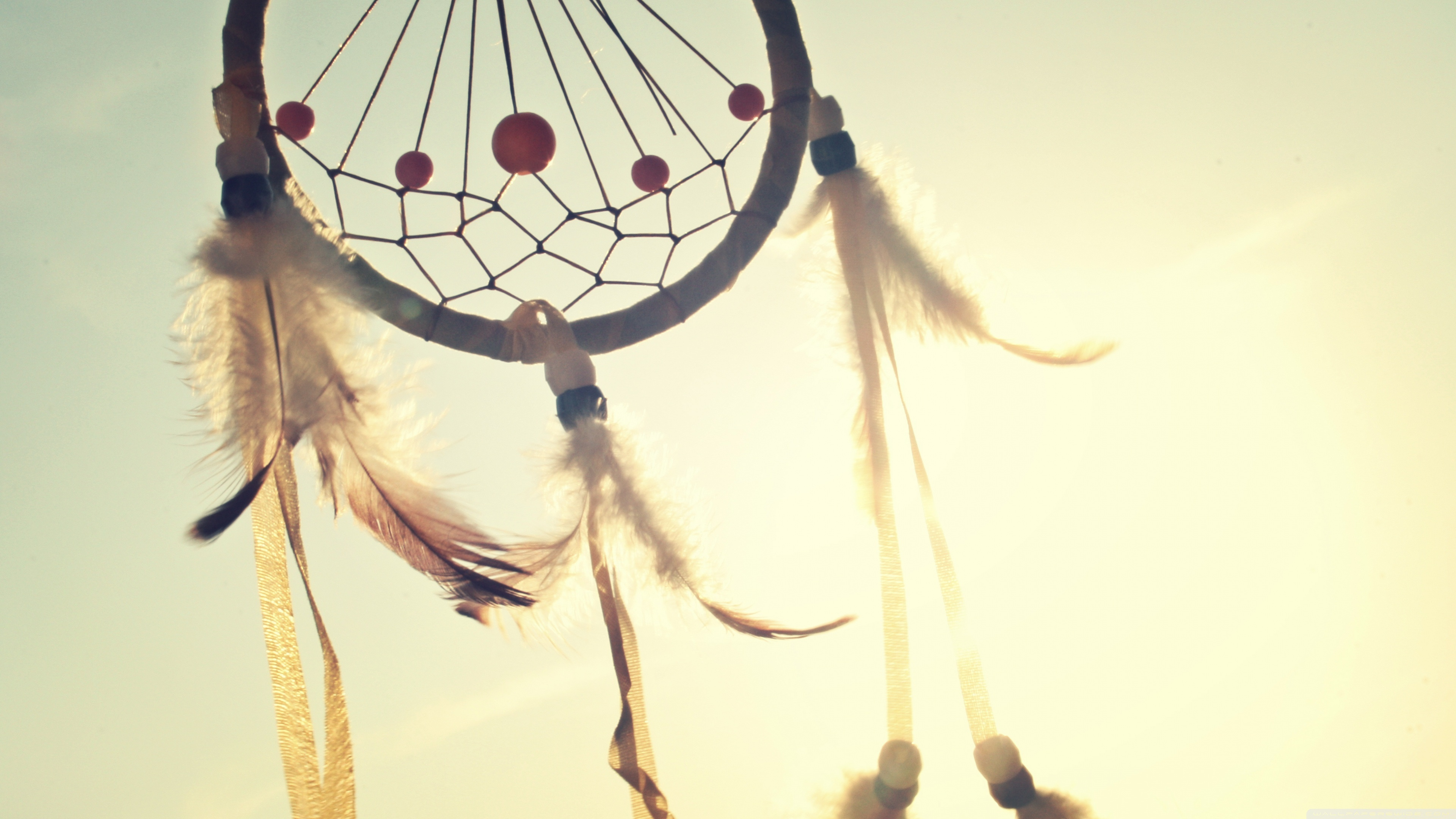 Guardianship Week 5 - April 2025