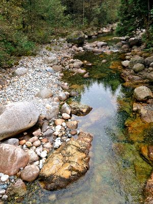 Child Protection Delegation Test - April 2026